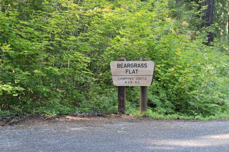 Camping in Washingtons Kachess Campground.